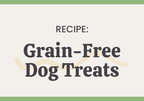 Grain-Free Dog Treat Recipe