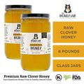 (2) 3 pound jars of raw unfiltered clover honey